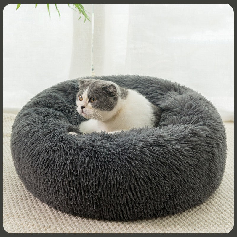 Cat accessories