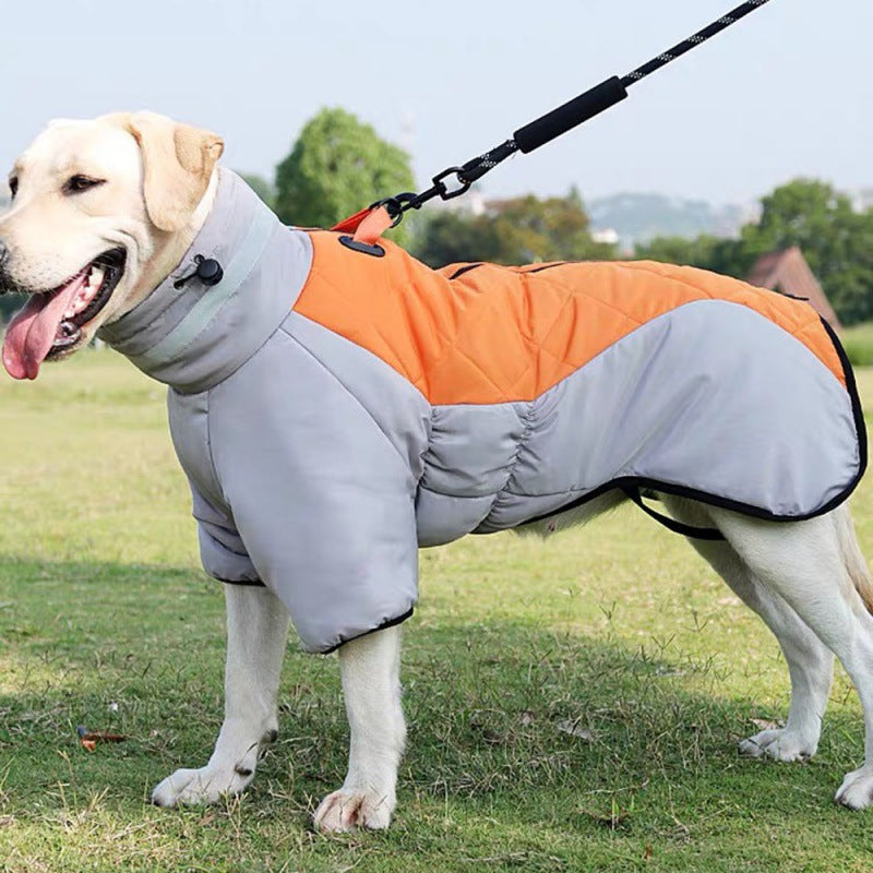 Dog accessories